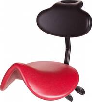 PK267 met rug + Meerprijs € 69,- excl. BTW