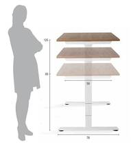 Flex 3 Bench elektrisch