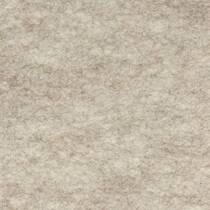 PET felt beige