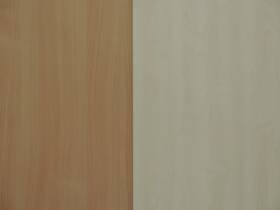 Bladkleur beuken - ahorn