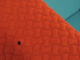 Artifort Apps 1.0 fauteuil