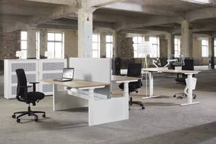 Flex 3 Bench elektrisch