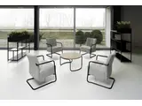 Alfa lounge sledeframe