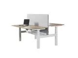 Flex 3 Bench elektrisch