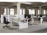 Flex 3 Bench elektrisch