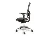 Economy 241 (HUUR)