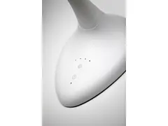 Flexlite bureaulamp