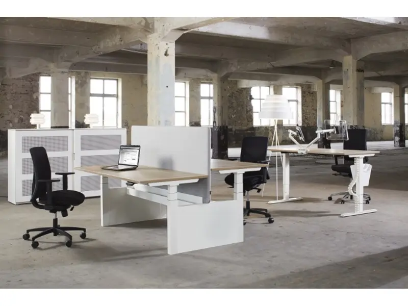 Flex 3 Bench elektrisch