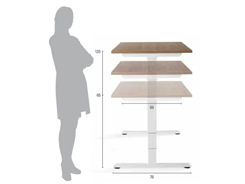 Flex 3 Bench elektrisch