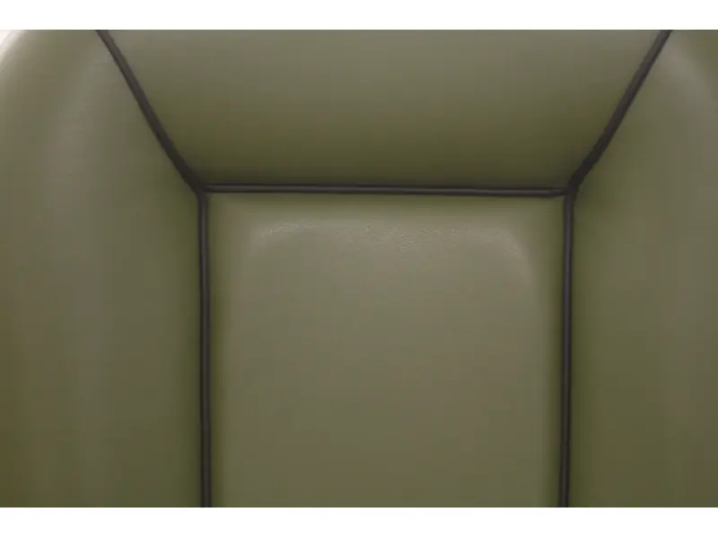 Gispen AA   Leer  Groen + zwarte bies